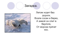 Белый медведь3 класс