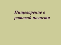 Презентация по биологии на тему Пищеварение в ротовой полости