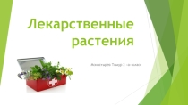 Презентация по окр. миру