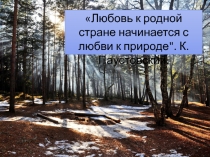 Презентация к ЭКОЛОГИЧЕСКОМУ УРОКУ Берегите первоцветы!
