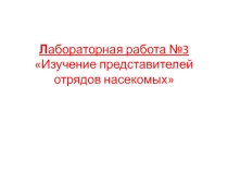 Лабораторная работа Изучение представителей отрядов насекомых