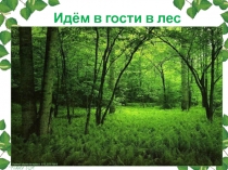 Презентация Идём в гости в лес