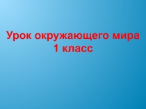 Презентация к уроку Окружающего мира Зима - покой природы , 1 класс