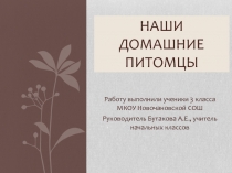 Презентация Наши любимые питомцы