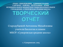 Презентация творческого отчёта учителя