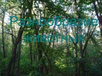 Презентация по окружающему миру на тему  Кто что ест?