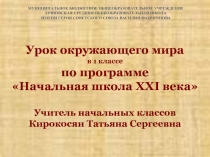 Презентация по окружающему миру на тему Откуда хлеб пришёл