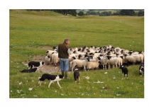 Презентация Хъаууон цард по осетинскому языку (2 класс)