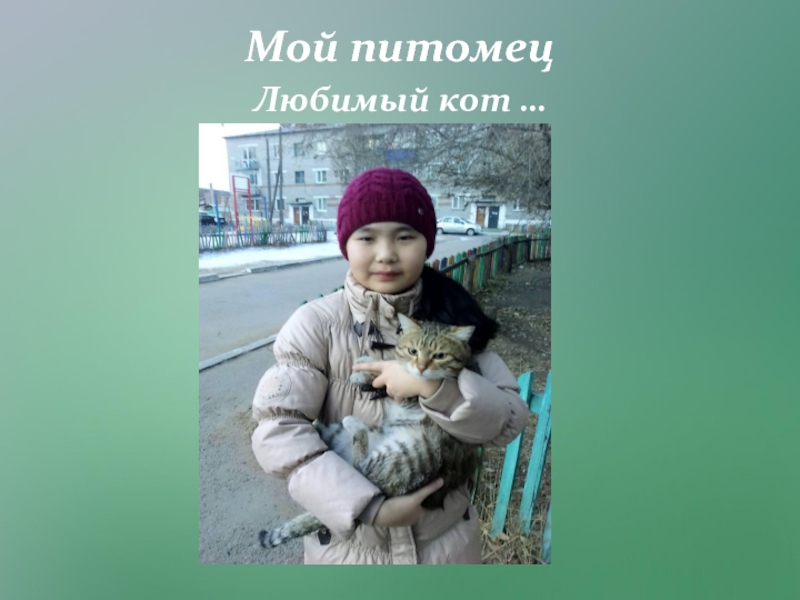 Презентация Исследовательский проект Любимый питомец - кошка. Мой питомец Любимый кот … Мой питомец Любимый кот …