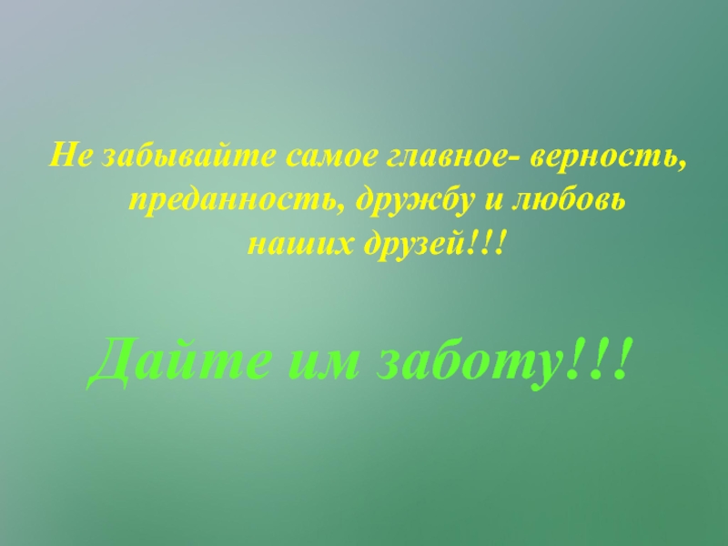 Презентация Исследовательский проект Любимый питомец - кошка. Не забывайте самое главное- верность, преданность, дружбу и любовь наших друзей!!!Дайте им заботу!!! Не забывайте самое главное- верность, преданность, дружбу и любовь наших друзей!!!Дайте им заботу!!!