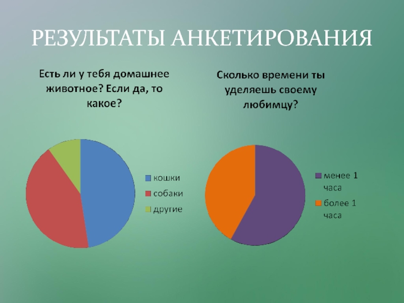 Презентация Исследовательский проект Любимый питомец - кошка. РЕЗУЛЬТАТЫ АНКЕТИРОВАНИЯ РЕЗУЛЬТАТЫ АНКЕТИРОВАНИЯ