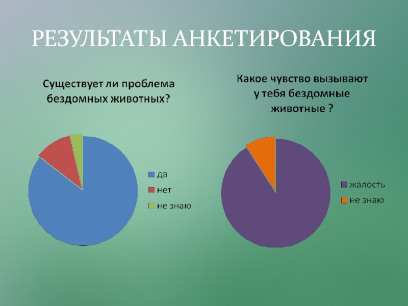 Презентация Исследовательский проект Любимый питомец - кошка. РЕЗУЛЬТАТЫ АНКЕТИРОВАНИЯ РЕЗУЛЬТАТЫ АНКЕТИРОВАНИЯ