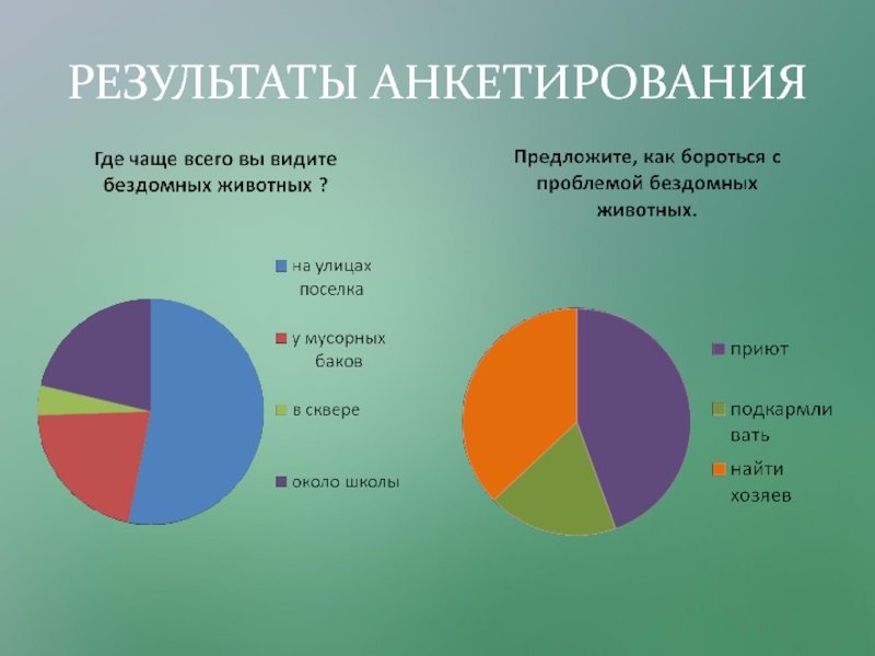Презентация Исследовательский проект Любимый питомец - кошка. РЕЗУЛЬТАТЫ АНКЕТИРОВАНИЯ РЕЗУЛЬТАТЫ АНКЕТИРОВАНИЯ