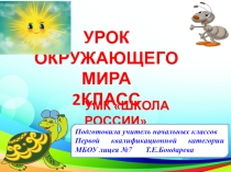 Презентация по окружающему миру для 2 класса Строение человека