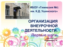 Организация внеурочной деятельности (1-4 классы)