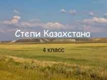 Растения и животные степей.