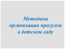 Презентация Методика организации и проведения прогулки в ДОУ