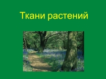 Презентация по биологии на тему Ткани растений (5 класс )