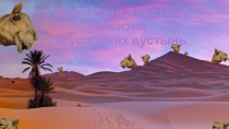 Презентация по биологии на тему Приспособленность организмов к среде обитания