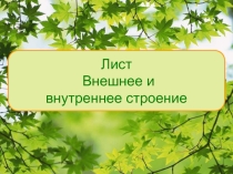 Презентация к уроку по биологии для 6 класса на тему: Внешнее и внутреннее строение листа