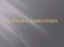Презентация по окружающему миру Психология животных