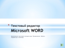 Word - назначение, области экрана, запуск