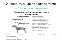 Плакат Эволюция скелетных систем