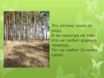 Презентация по экологии на тему Школьный борок