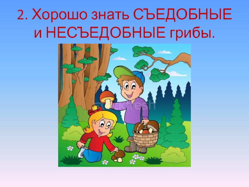 Лес полон опасностей и неожиданностей. 2. Хорошо знать СЪЕДОБНЫЕ и НЕСЪЕДОБНЫЕ грибы. 2. Хорошо знать СЪЕДОБНЫЕ и НЕСЪЕДОБНЫЕ грибы.