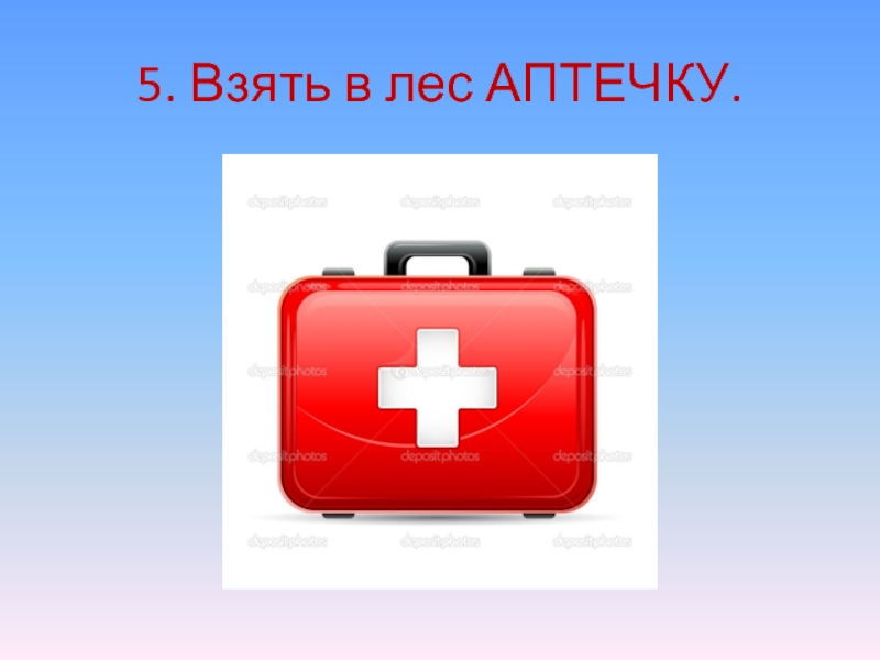Лес полон опасностей и неожиданностей. 5. Взять в лес АПТЕЧКУ. 5. Взять в лес АПТЕЧКУ.