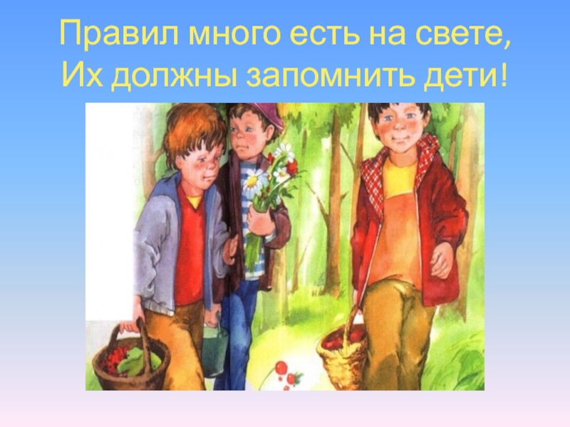 Лес полон опасностей и неожиданностей. Правил много есть на свете, Их должны запомнить дети! Правил много есть на свете, Их должны запомнить дети!