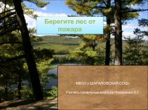 Презентация по окружающему миру