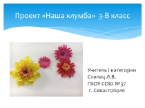 Презентация проекта Наша клумба