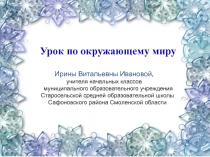Презентация по окружающему миру на тему Жизнь птиц и зверей зимой (1 класс)