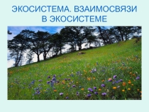Презентация по биологии на тему Экосистемы. Взаимосвязи в экосистемах