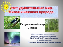 Этот удивительный мир. Живая и неживая природа