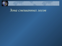 Презентация Зона смешанных лесов