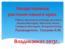 Презентация по окружающему миру  Лекарственные растения родного края