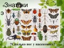 Знатоки энтомологии