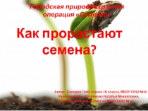 Презентация по экологии Семечко (1 класс)