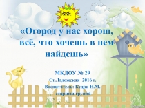 Презентация Огород на окне