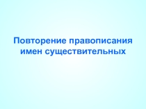 Презентация по русскому языку на тему  Существительное