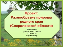 Проект. Разнообразие природы родного края (Свердловской области)