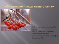 Презентация Зимующие птицы нашего села