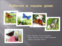 Презентация Бабочки в нашем доме 2класс