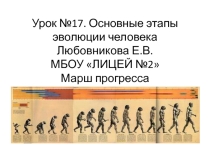 Этапы эволюции человека. Расы