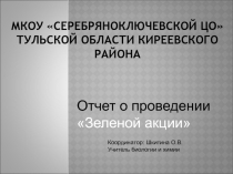 Отчет Всероссийский урок Сделаем вместе