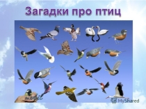 Презентация к занятию по окружающему миру Загадки про птиц
