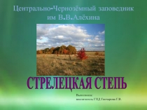 Стрелецкая степь