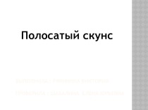 Полосатый скунс. Работа учеников 5 класса по географии